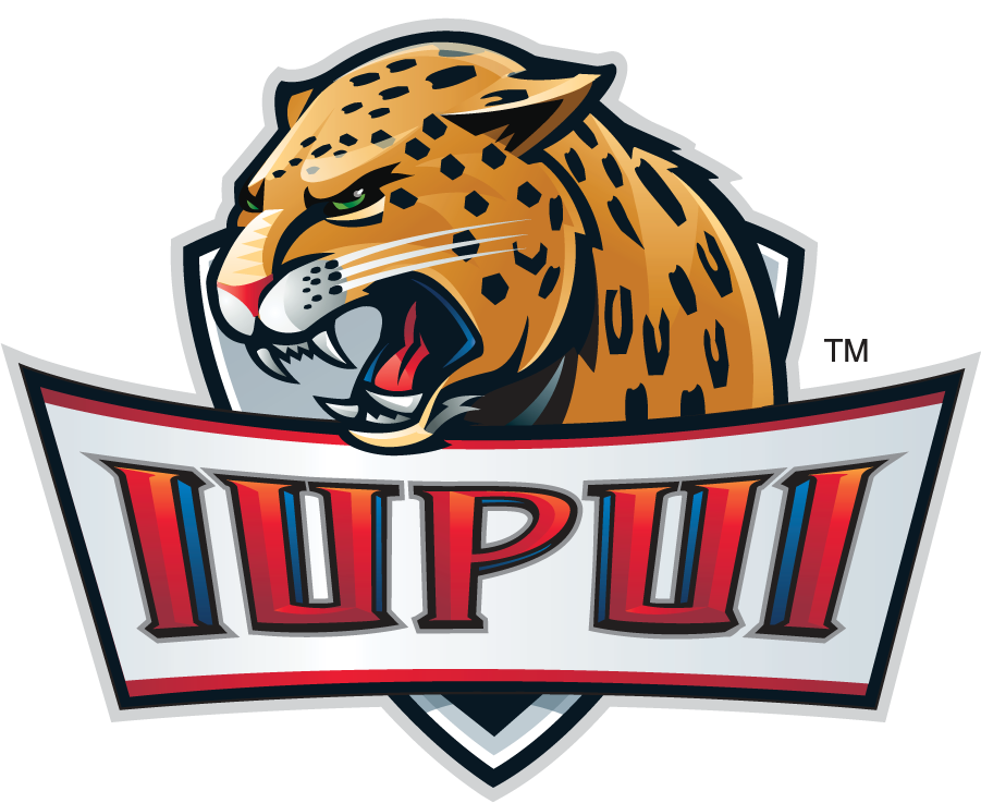 IUPUI Jaguars 2007-2017 Alternate Logo v2 iron on transfers for T-shirts